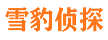 卧龙找人公司